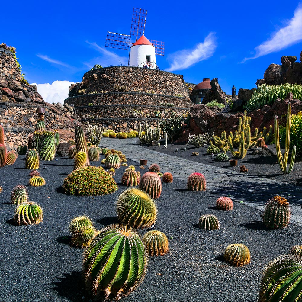 Flights Bristol - Lanzarote-image-888
