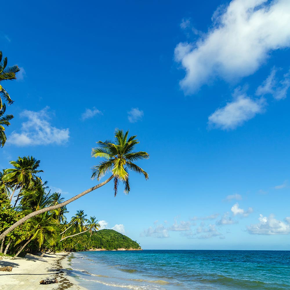 Flights Bogota - San Andres Island-image-3575