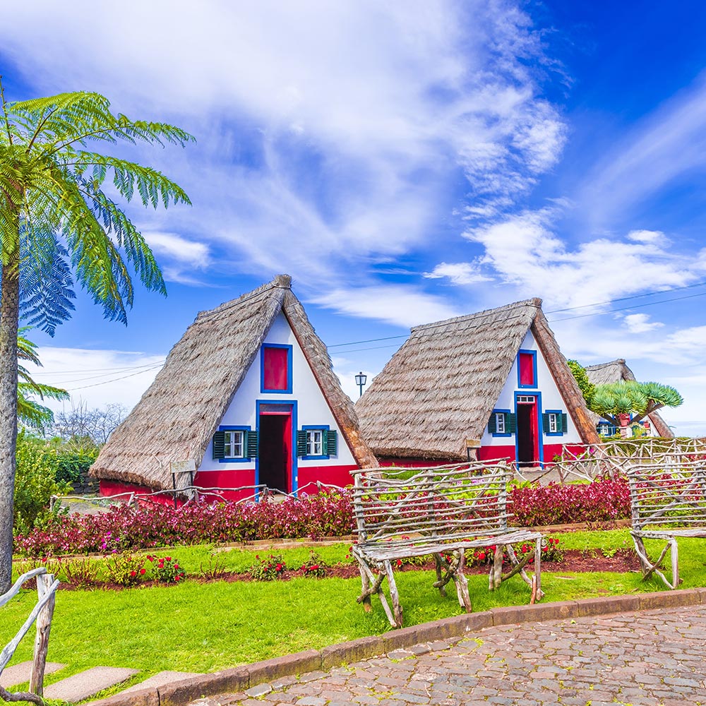 Flights Lisbon - Funchal-image-988