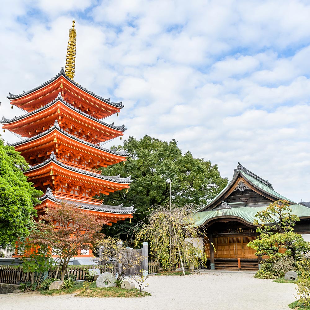 Flights London - Fukuoka-image-4156