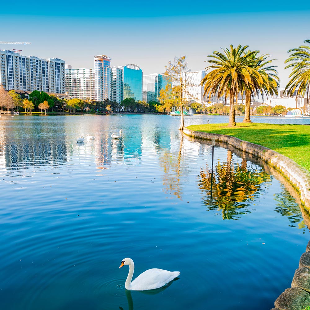 Flights New York - Orlando