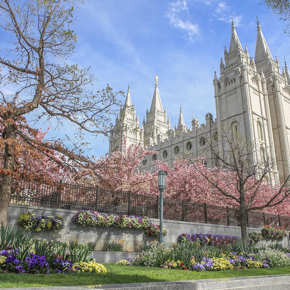 Flights Dublin - Salt Lake City